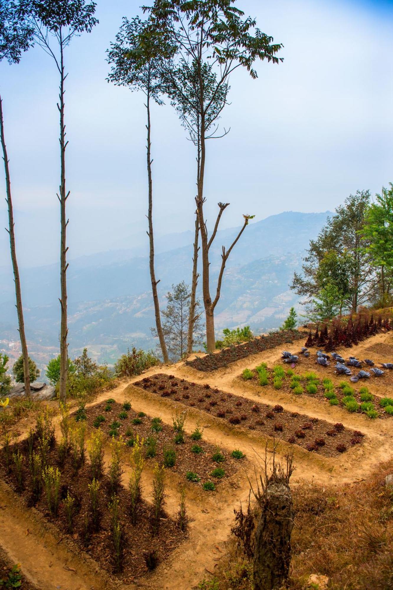 Dwarika'S Resort - Dhulikhel Wellbeing Escape In The Himalayas Kültér fotó