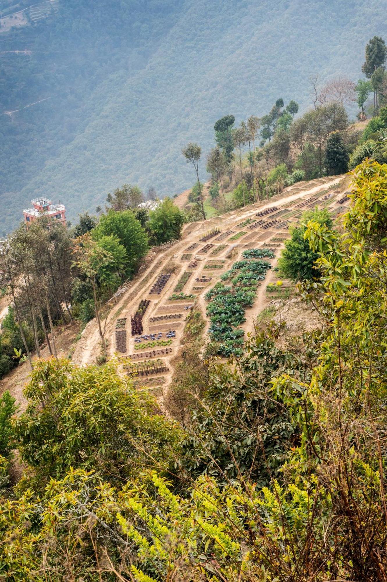 Dwarika'S Resort - Dhulikhel Wellbeing Escape In The Himalayas Kültér fotó
